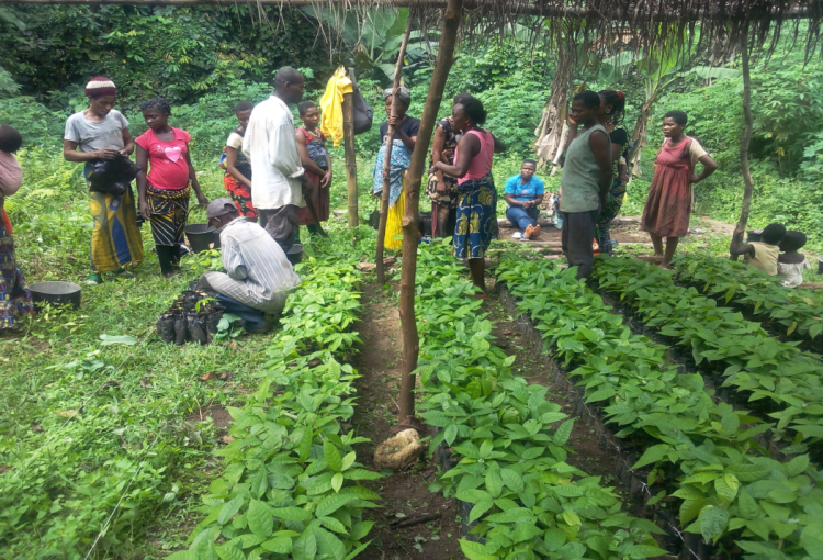 WOMEN INITIATED TO CASH CROPS AND INCOME GENERATING PROJECT